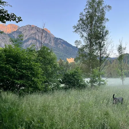 Schwansee , Schwangau-alterschrofen Im Allgaeu, Mit Koenigscard Apartment Schwangau